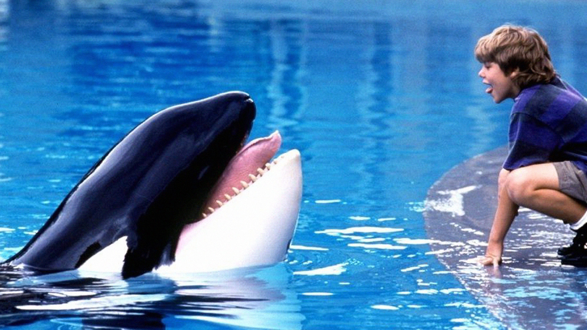 liberad a willy reboot